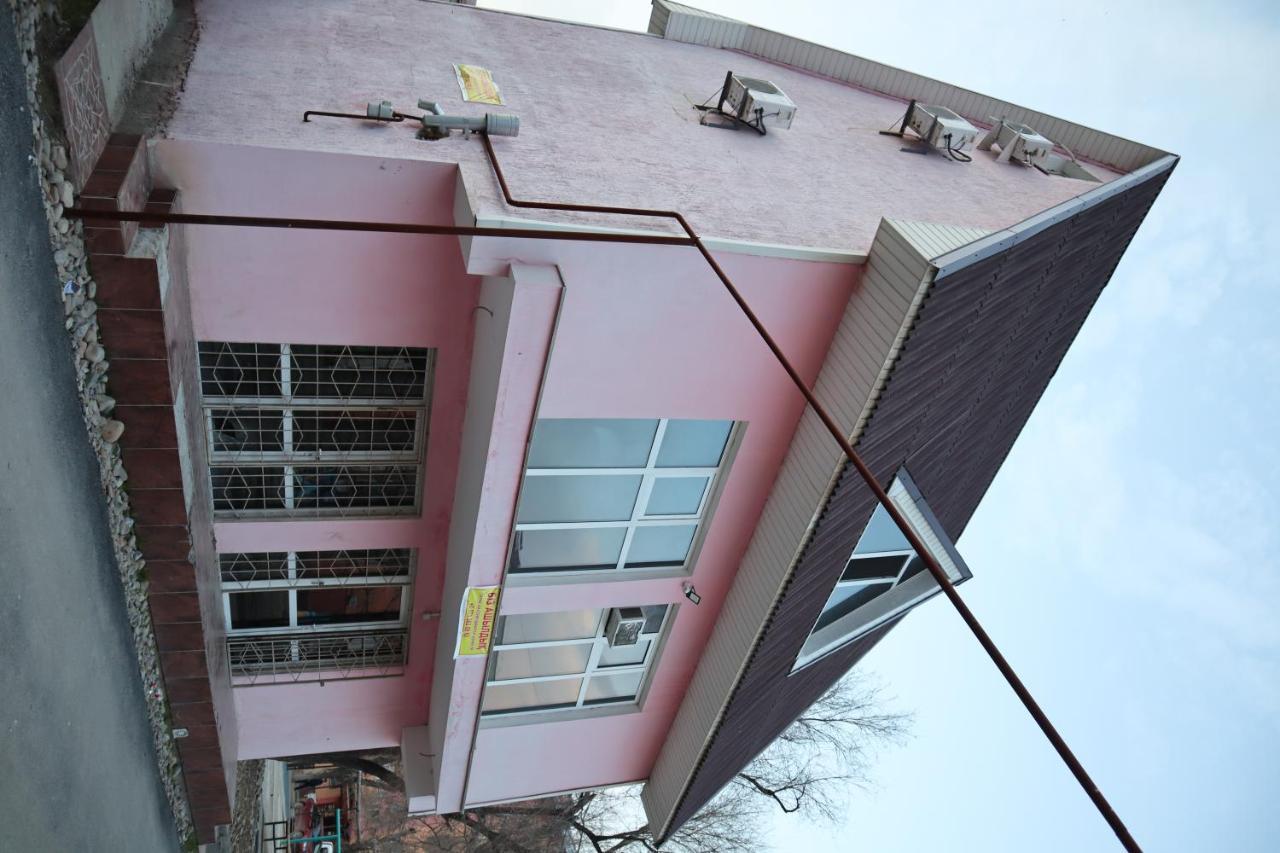 Hotel Ecopana Turkistan Esterno foto